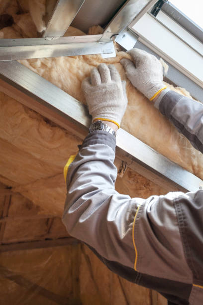 Best Insulation Maintenance and Repair in Columbus Grove, OH